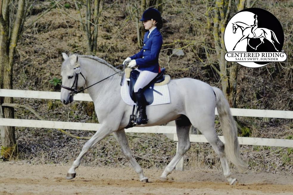Centered Riding kehotietoisuuskurssi by Stable Mind