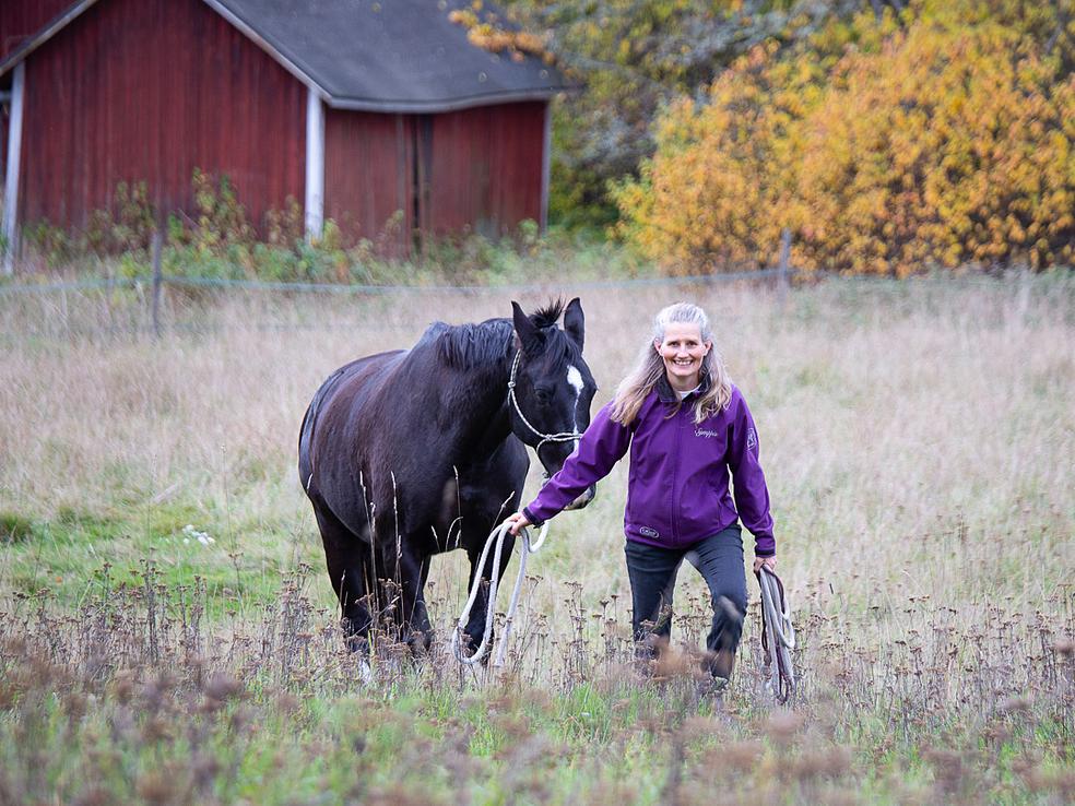 Uusi hevosenomistaja, ryhmä IV by Stable Mind