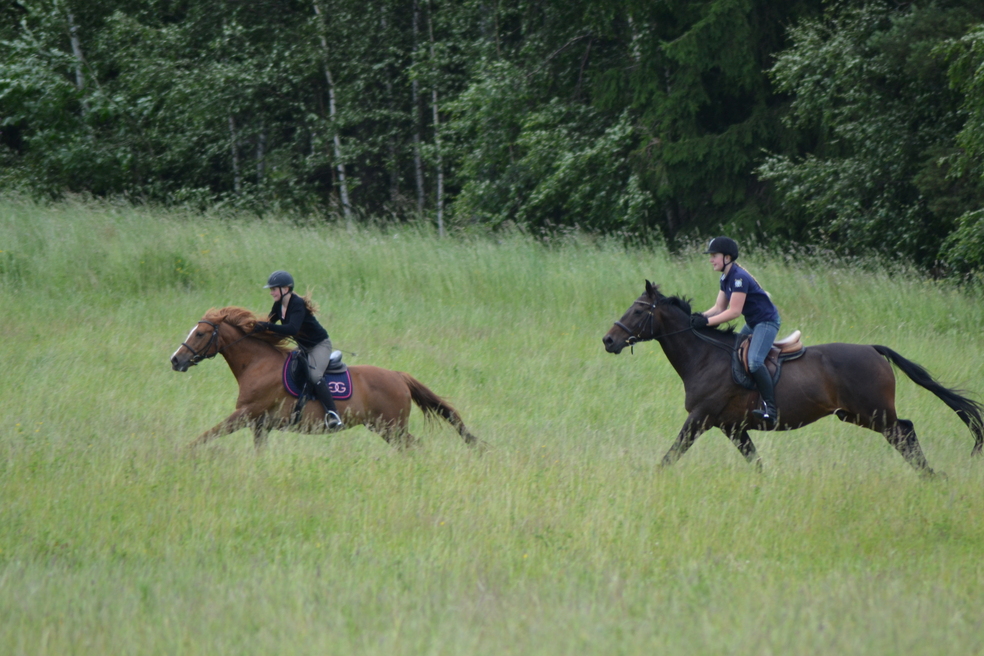 Tallenne: Tunne ja kehonkieli ratsastuksessa by Stable Mind