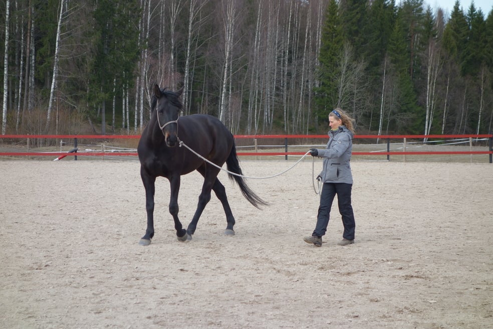 Tallenne: Kehon ja mielen vaikutus maastakäsittelyssä by Stable Mind